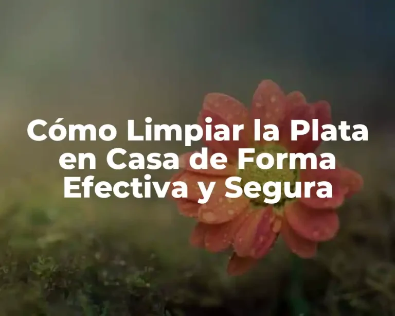 Cómo Limpiar la Plata en Casa de Forma Efectiva y Segura