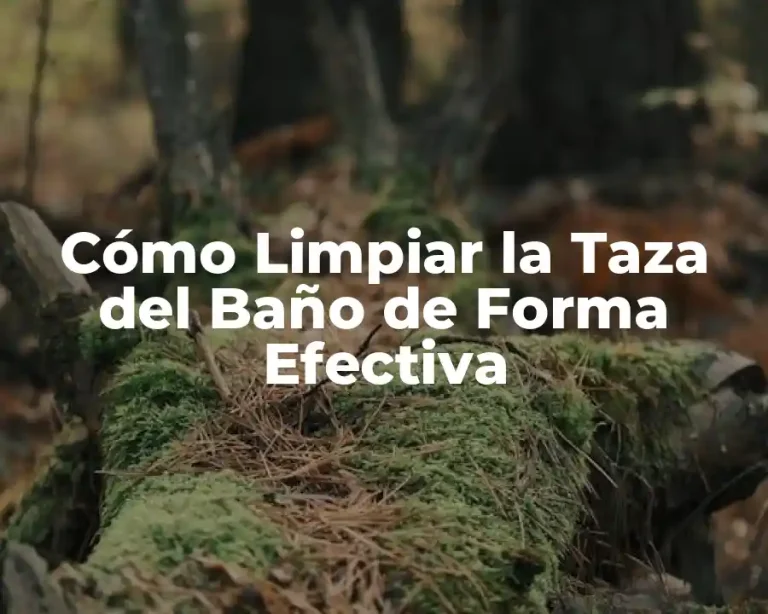 Cómo Limpiar la Taza del Baño de Forma Efectiva