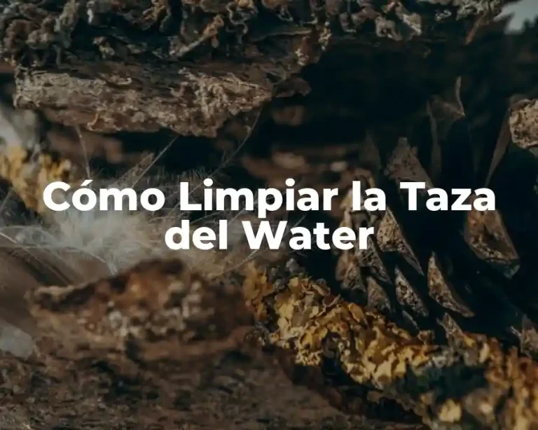 Cómo Limpiar la Taza del Water