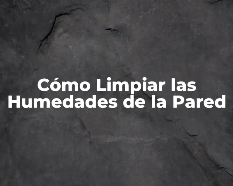 Cómo Limpiar las Humedades de la Pared