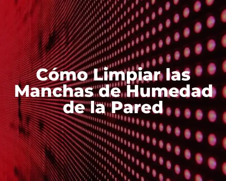 Cómo Limpiar las Manchas de Humedad de la Pared
