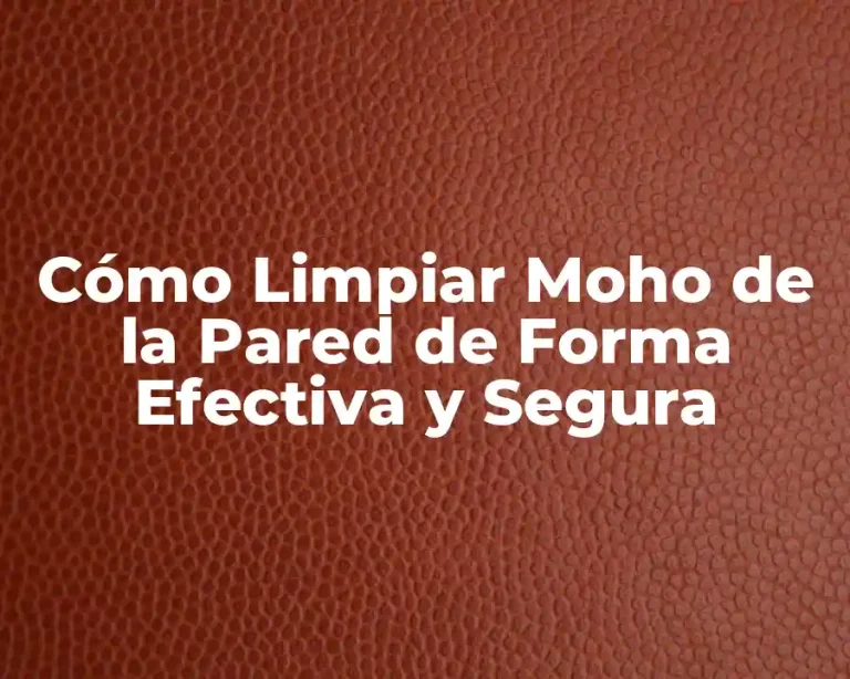 Cómo Limpiar Moho de la Pared de Forma Efectiva y Segura