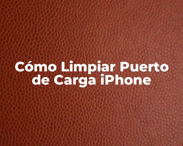 Cómo Limpiar Puerto de Carga iPhone