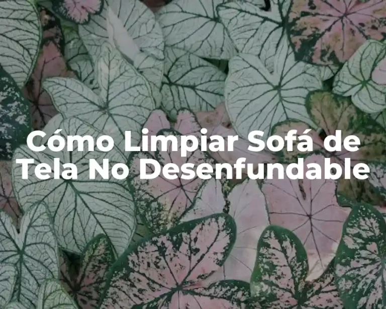 Cómo Limpiar Sofá de Tela No Desenfundable