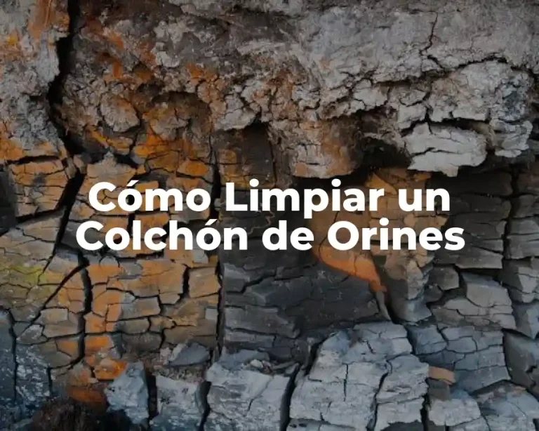 Cómo Limpiar un Colchón de Orines