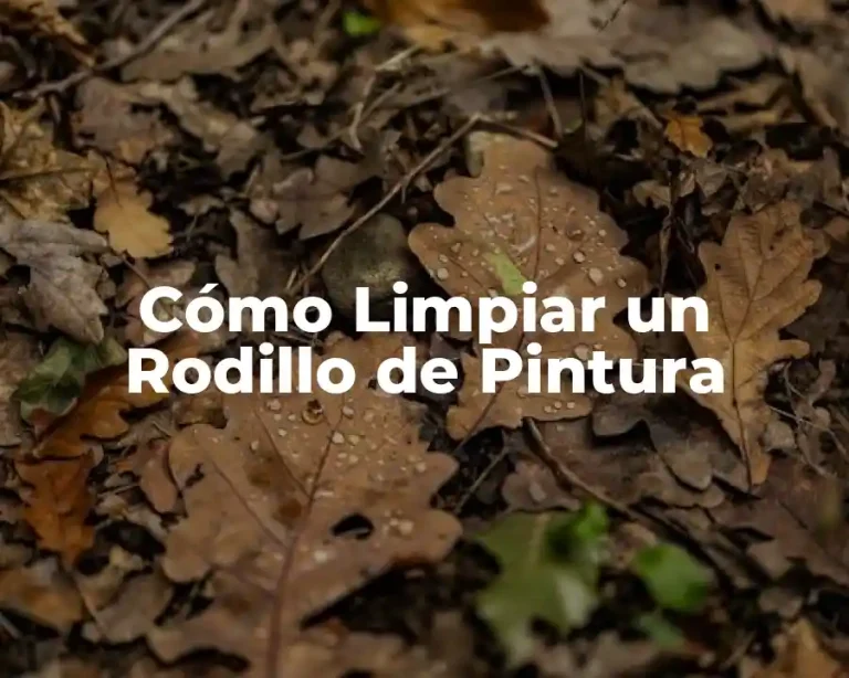 Cómo Limpiar un Rodillo de Pintura