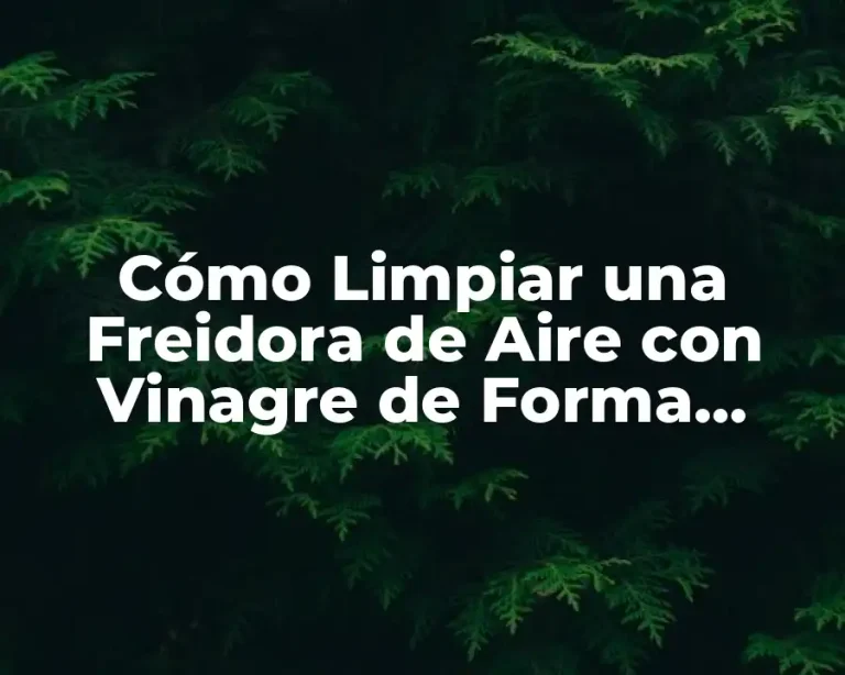 Cómo Limpiar una Freidora de Aire con Vinagre de Forma Efectiva
