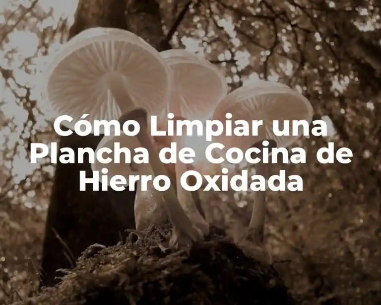 Cómo Limpiar una Plancha de Cocina de Hierro Oxidada