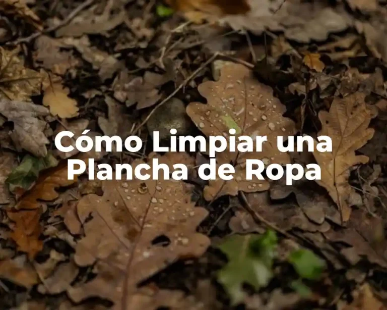 Cómo Limpiar una Plancha de Ropa