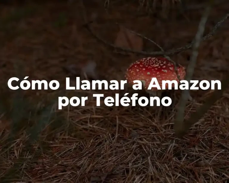 Cómo Llamar a Amazon por Teléfono