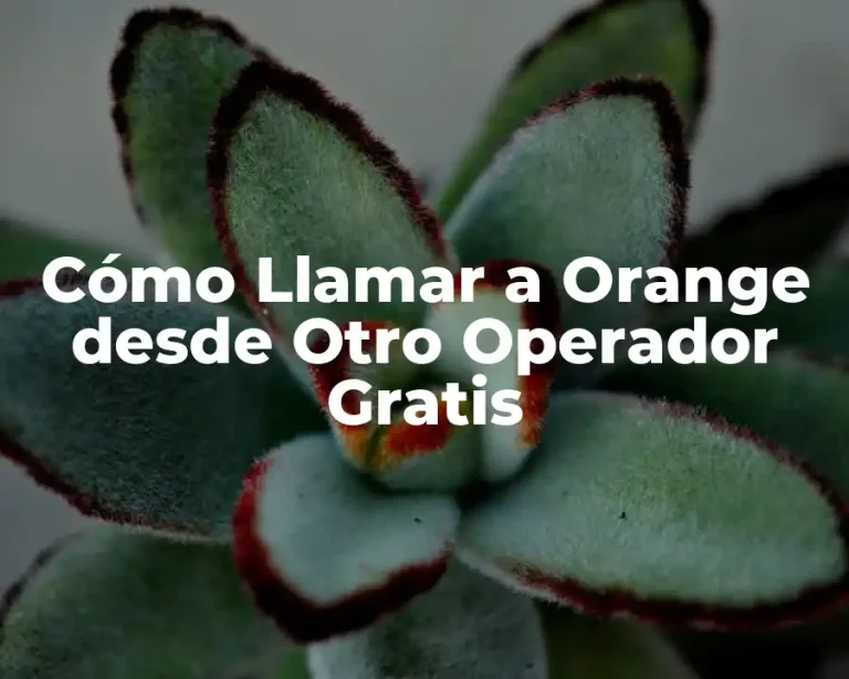 Cómo Llamar a Orange desde Otro Operador Gratis