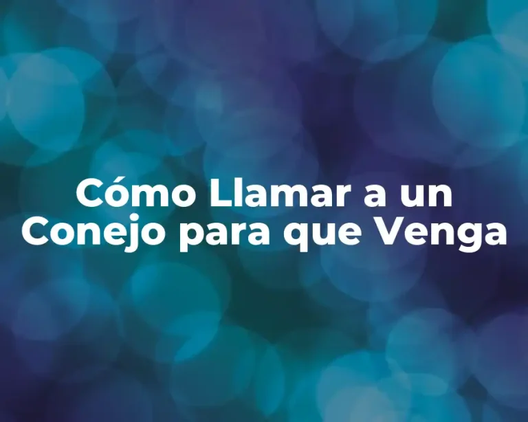 Cómo Llamar a un Conejo para que Venga