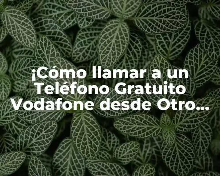 ¡Cómo llamar a un Teléfono Gratuito Vodafone desde Otro Operador sin Costo Adicional!