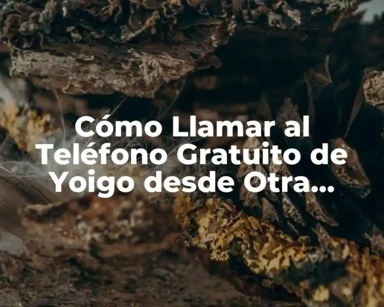 Cómo Llamar al Teléfono Gratuito de Yoigo desde Otra Compañía