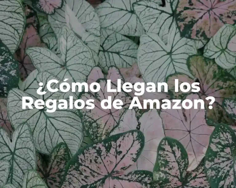 ¿Cómo Llegan los Regalos de Amazon?