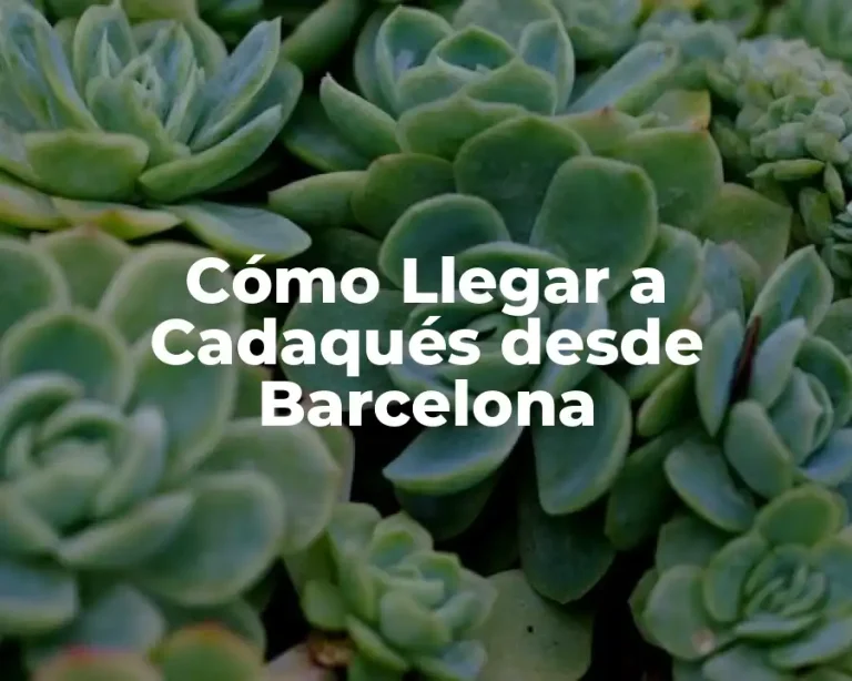 Cómo Llegar a Cadaqués desde Barcelona