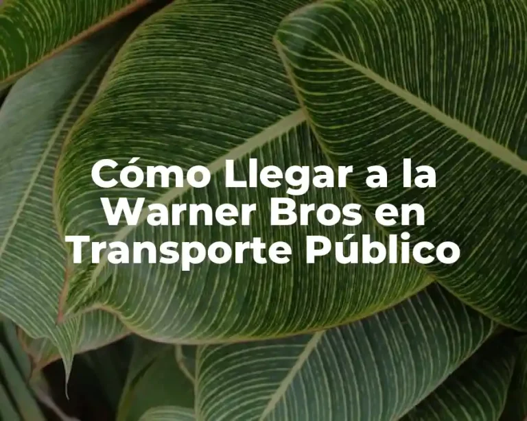 Cómo Llegar a la Warner Bros en Transporte Público