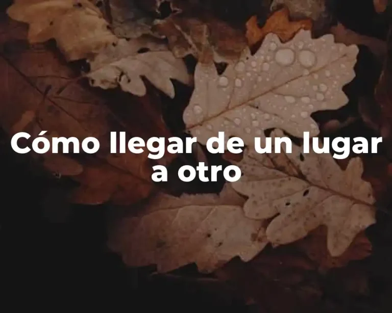 Cómo llegar de un lugar a otro