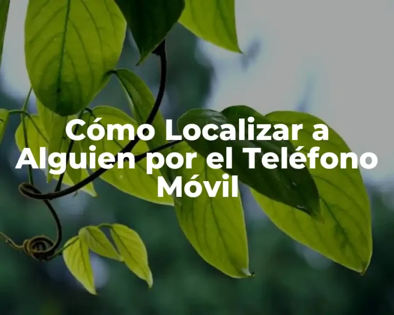 Cómo Localizar a Alguien por el Teléfono Móvil