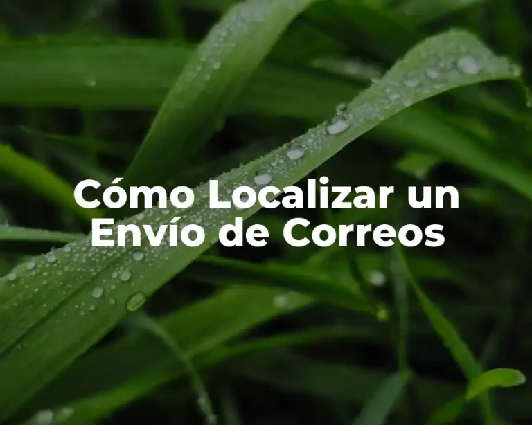 Cómo Localizar un Envío de Correos