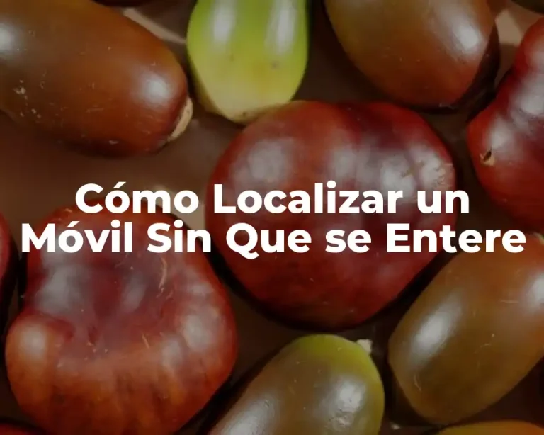 Cómo Localizar un Móvil Sin Que se Entere