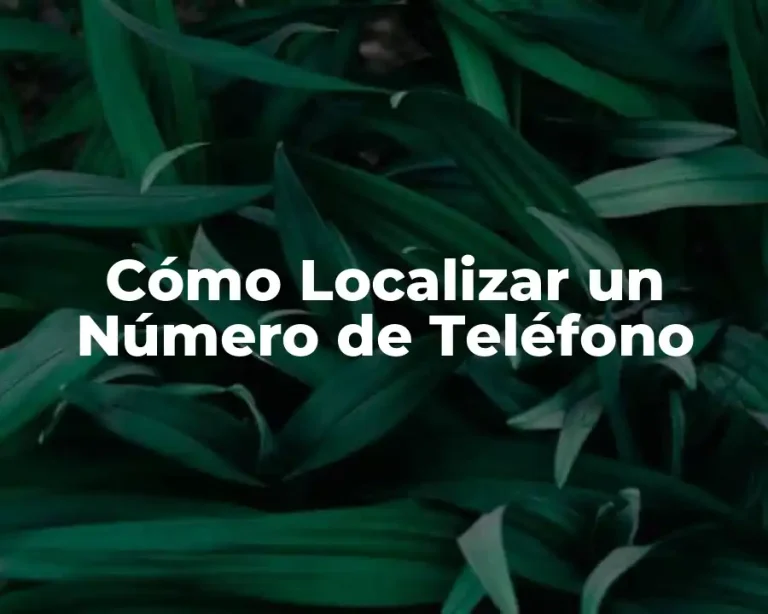 Cómo Localizar un Número de Teléfono