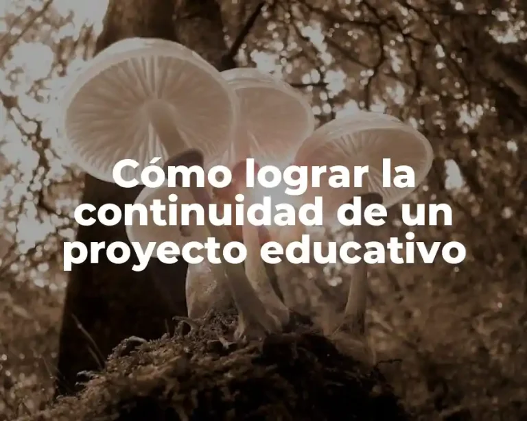 Cómo lograr la continuidad de un proyecto educativo