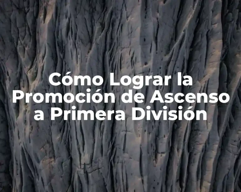 Cómo Lograr la Promoción de Ascenso a Primera División