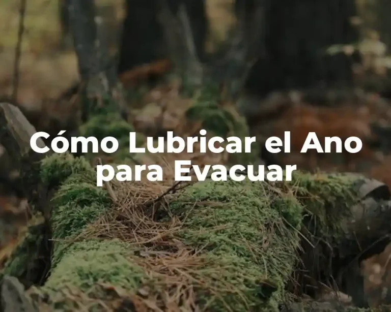 Cómo Lubricar el Ano para Evacuar