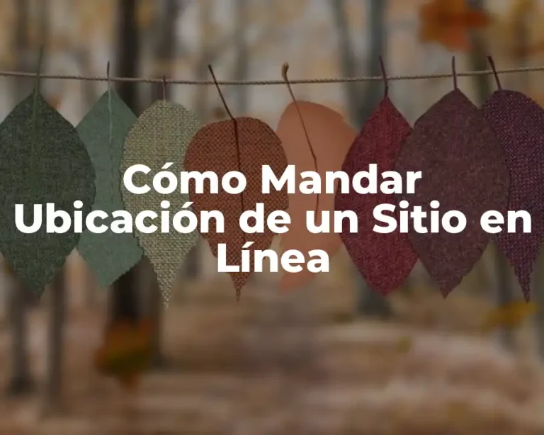 Cómo Mandar Ubicación de un Sitio en Línea