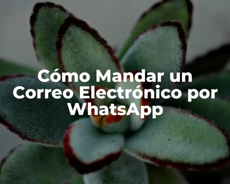 Cómo Mandar un Correo Electrónico por WhatsApp