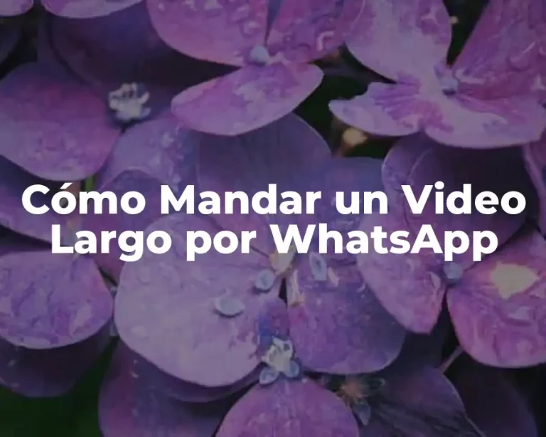 Cómo Mandar un Video Largo por WhatsApp