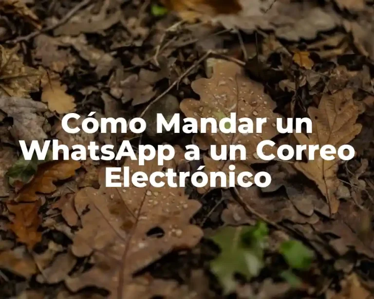 Cómo Mandar un WhatsApp a un Correo Electrónico