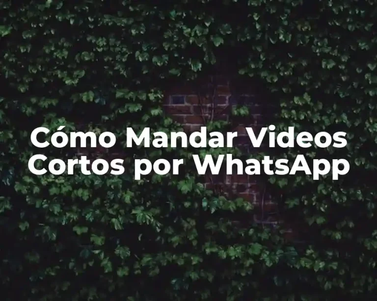 Cómo Mandar Videos Cortos por WhatsApp