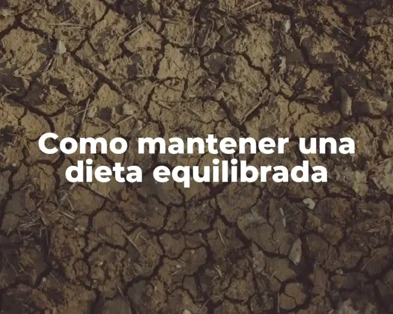 Como mantener una dieta equilibrada