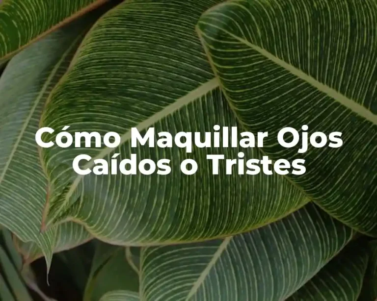 Cómo Maquillar Ojos Caídos o Tristes