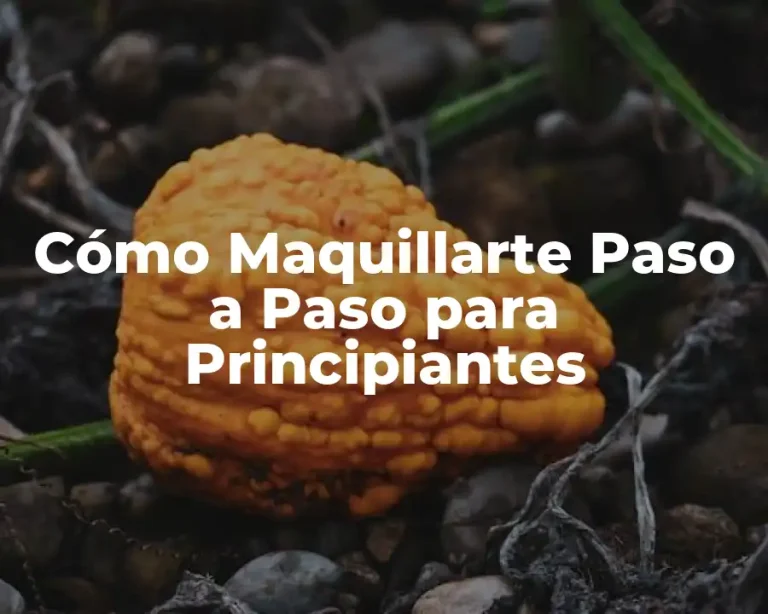 Cómo Maquillarte Paso a Paso para Principiantes
