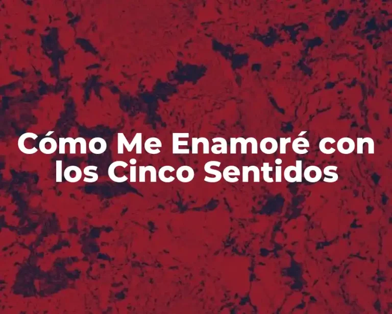 Cómo Me Enamoré con los Cinco Sentidos