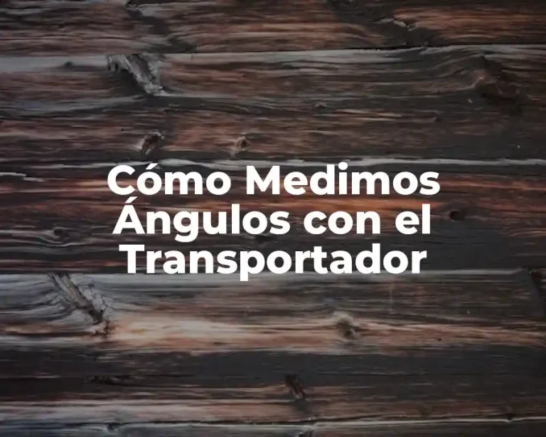 Cómo Medimos Ángulos con el Transportador