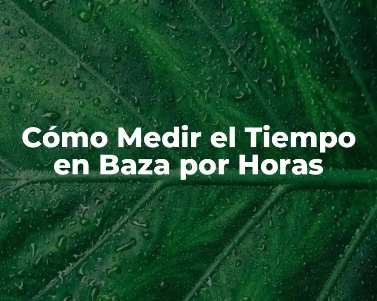 Cómo Medir el Tiempo en Baza por Horas