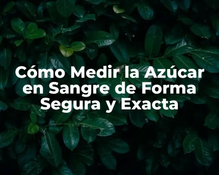 Cómo Medir la Azúcar en Sangre de Forma Segura y Exacta