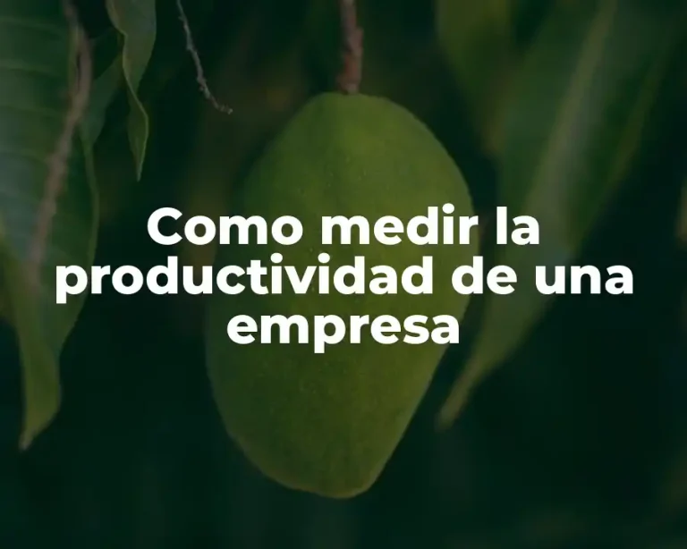 Como medir la productividad de una empresa