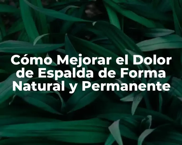 Cómo Mejorar el Dolor de Espalda de Forma Natural y Permanente