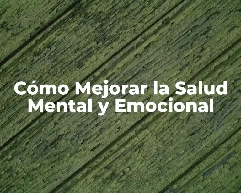 Cómo Mejorar la Salud Mental y Emocional