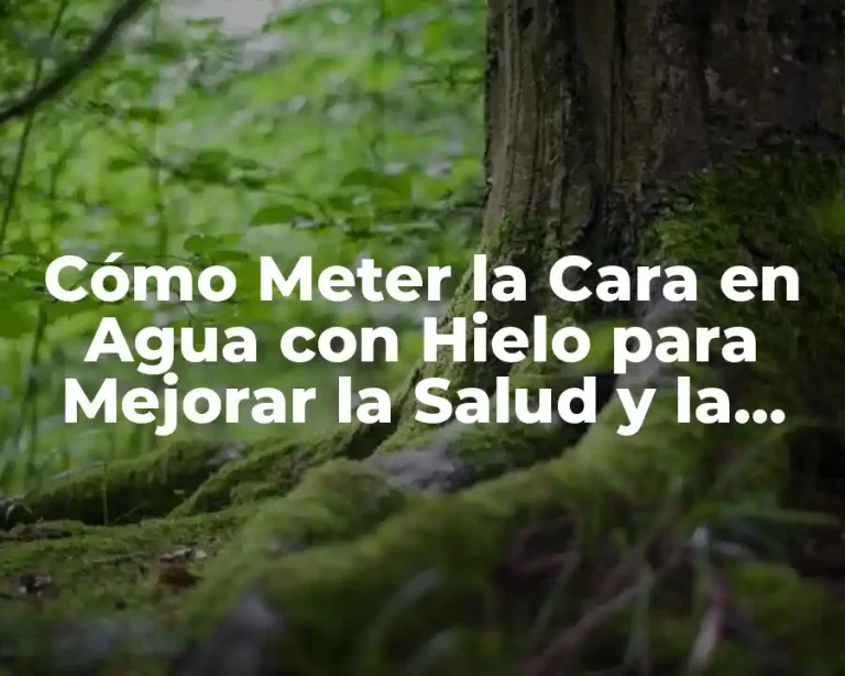 Cómo Meter la Cara en Agua con Hielo para Mejorar la Salud y la Belleza