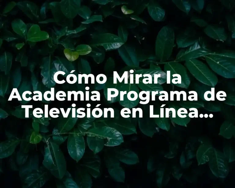 Cómo Mirar la Academia Programa de Televisión en Línea Gratis