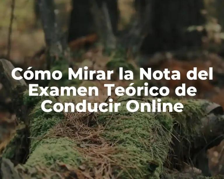 Cómo Mirar la Nota del Examen Teórico de Conducir Online