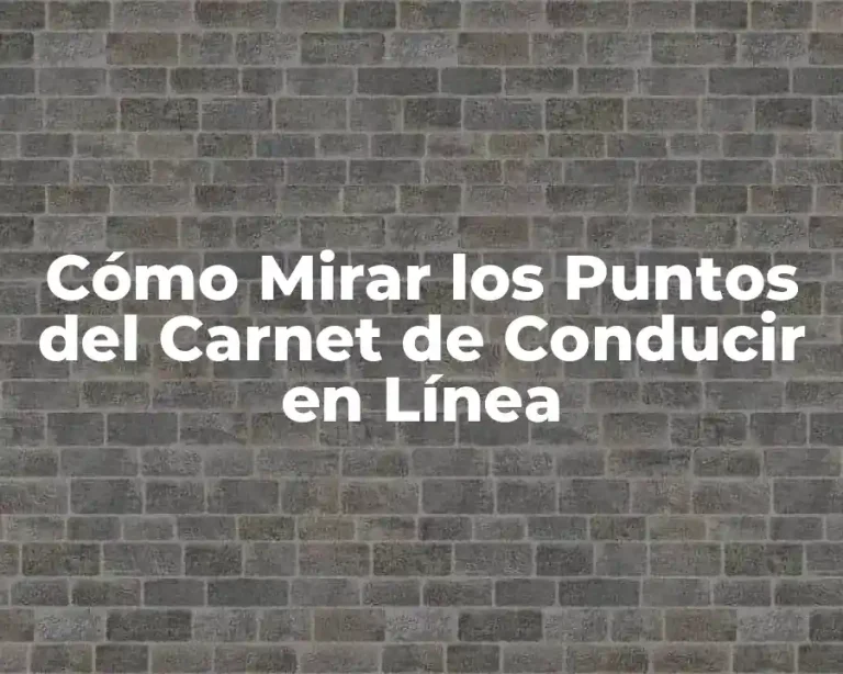Cómo Mirar los Puntos del Carnet de Conducir en Línea