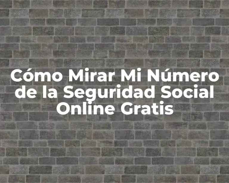 Cómo Mirar Mi Número de la Seguridad Social Online Gratis