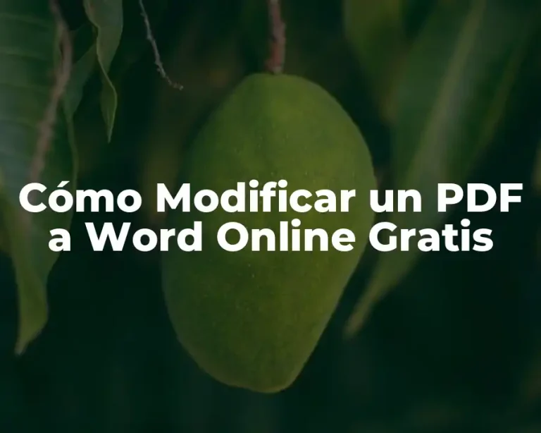 Cómo Modificar un PDF a Word Online Gratis